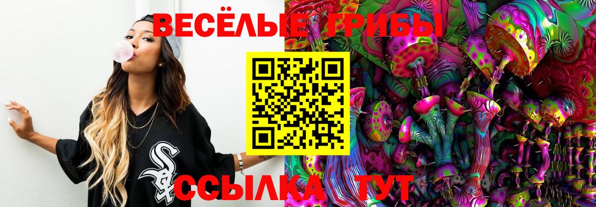 Галлюциногенные грибы Psilocybine cubensis Кохма